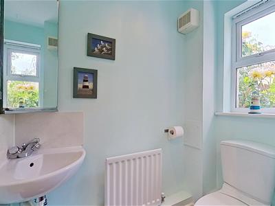 Picture 21